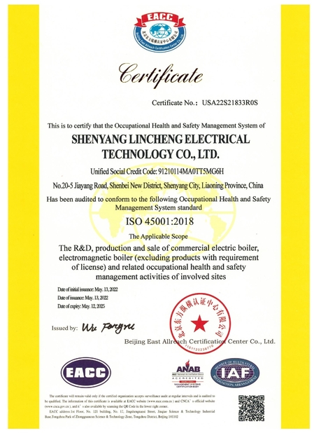 中国 shenyang lincheng Technology Co., Ltd 認証